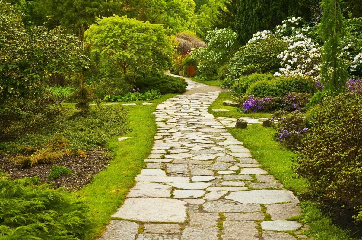 Stone pathway through a garden