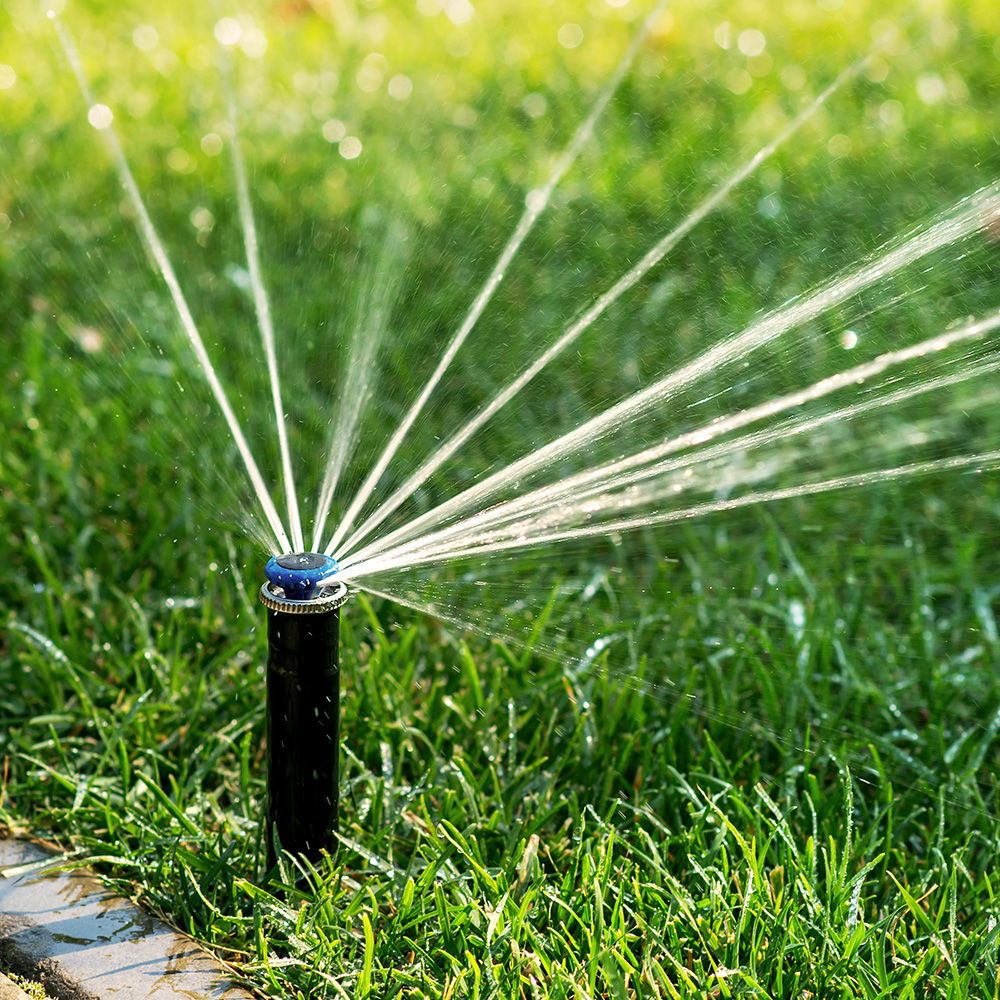 Sprinkler watering a green lawn