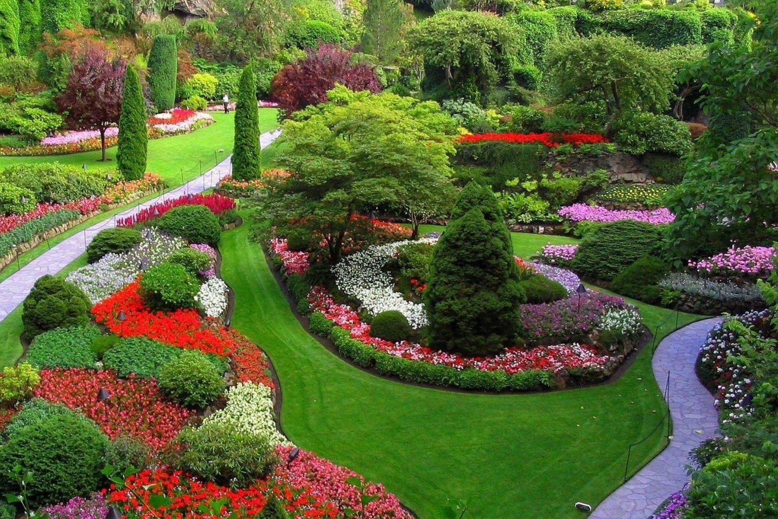 Landscaped garden with lawn and planting beds